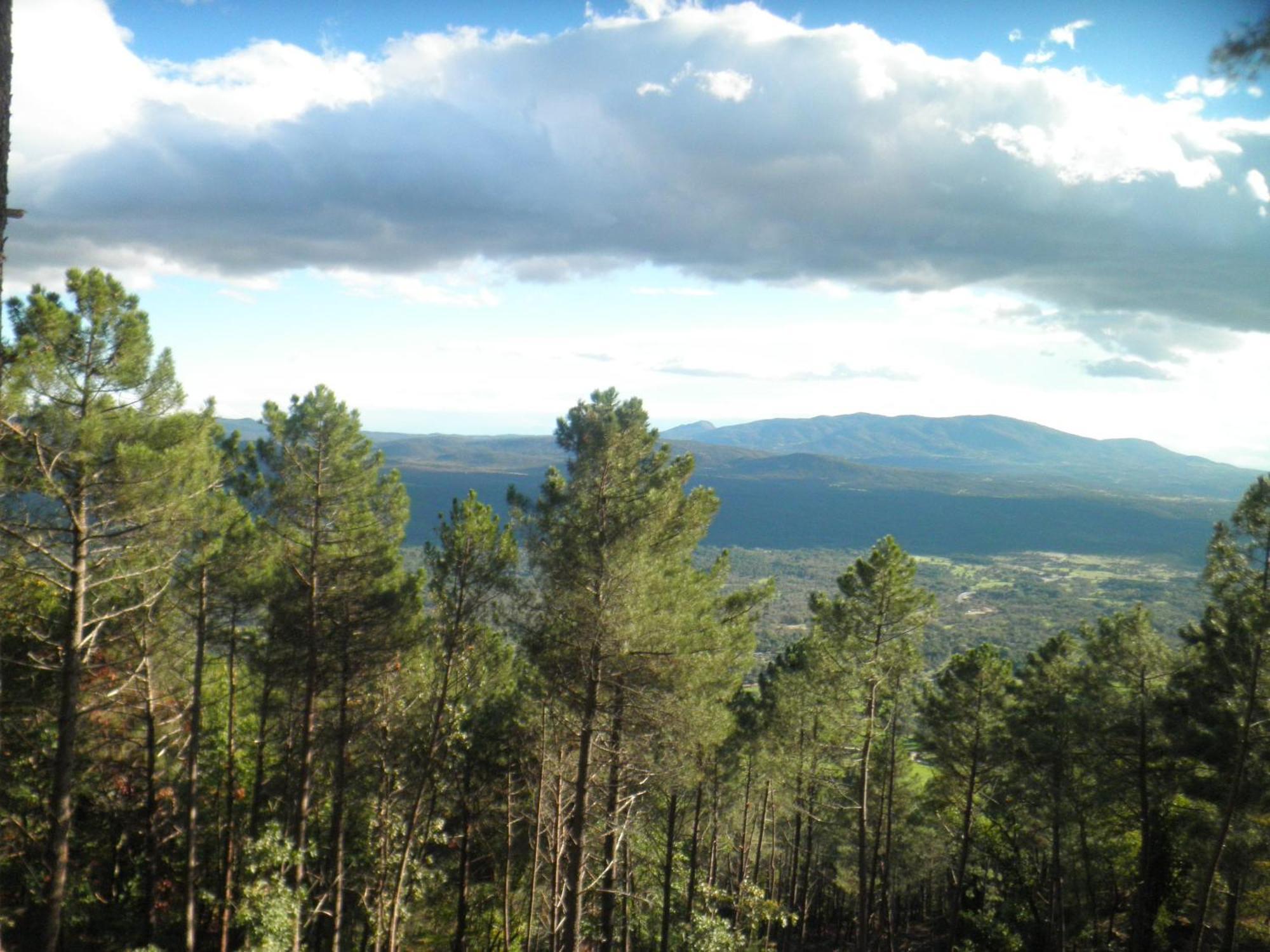 Amatalasvinas Piedralaves Exterior photo